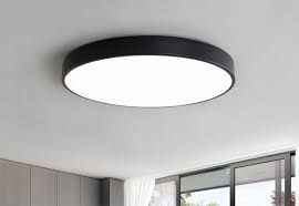 816-2 Ceiling Light