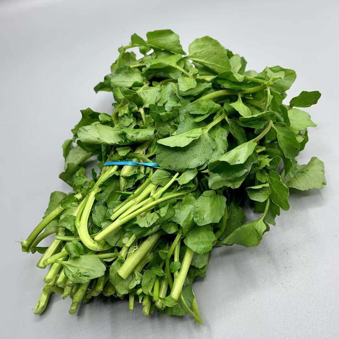  Watercress